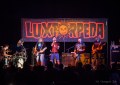 Koncert zespołu LUXTORPEDA